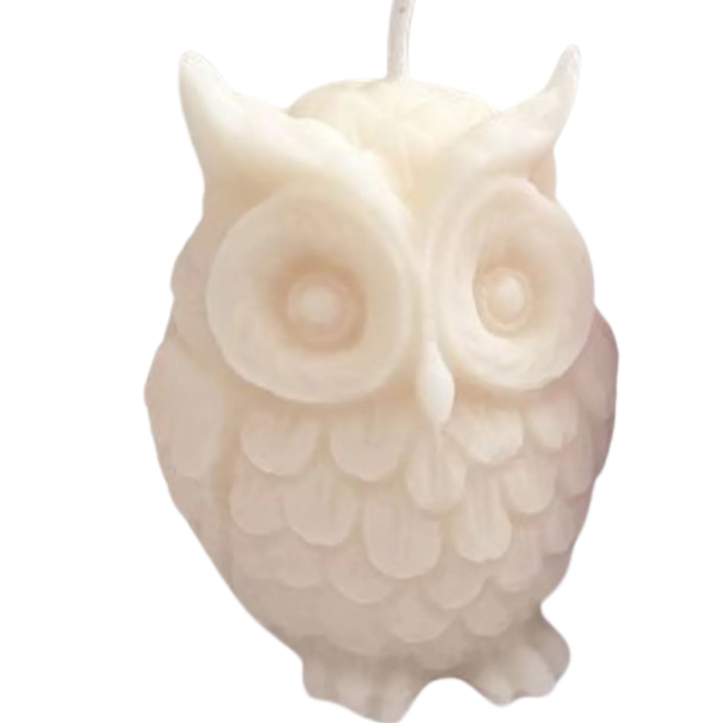 The Wise Owl- by the Alchemist