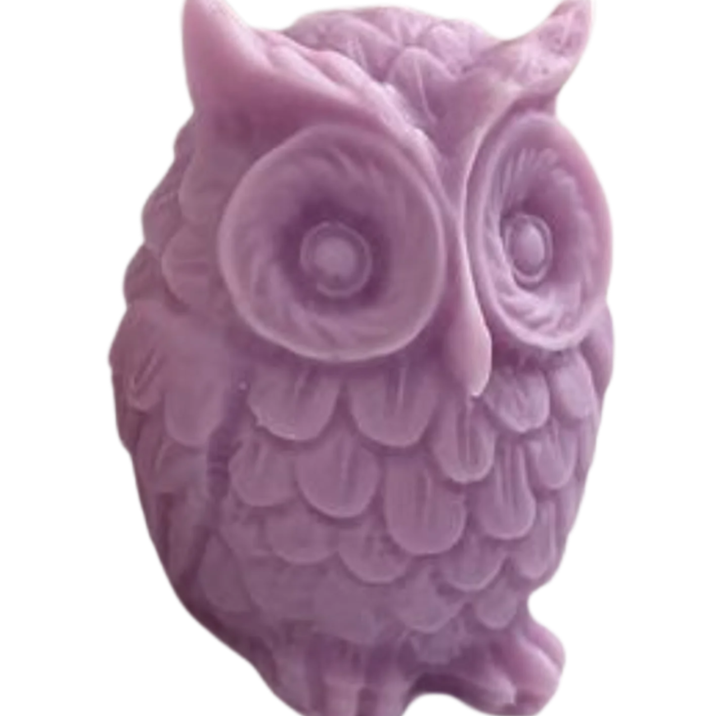 The Wise Owl- by the Alchemist