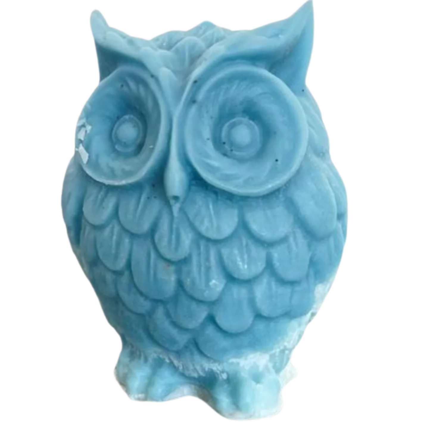 The Wise Owl- by the Alchemist