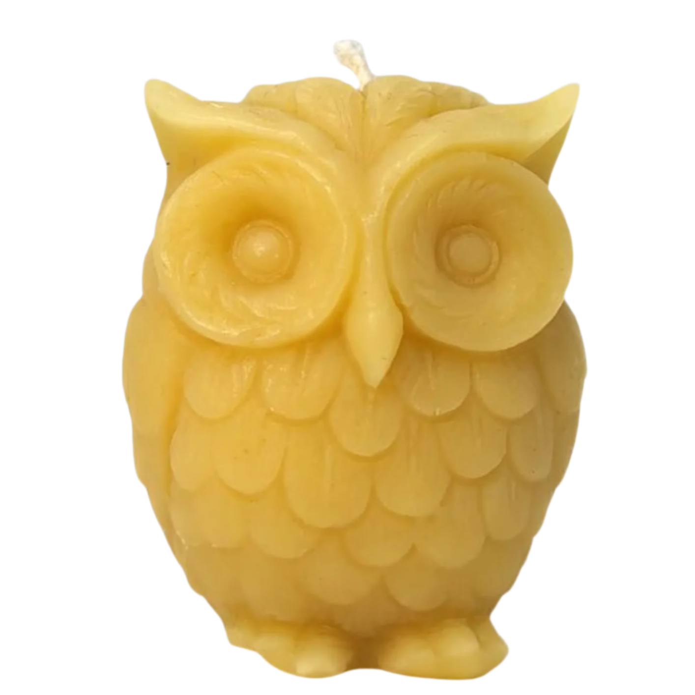 The Wise Owl- by the Alchemist