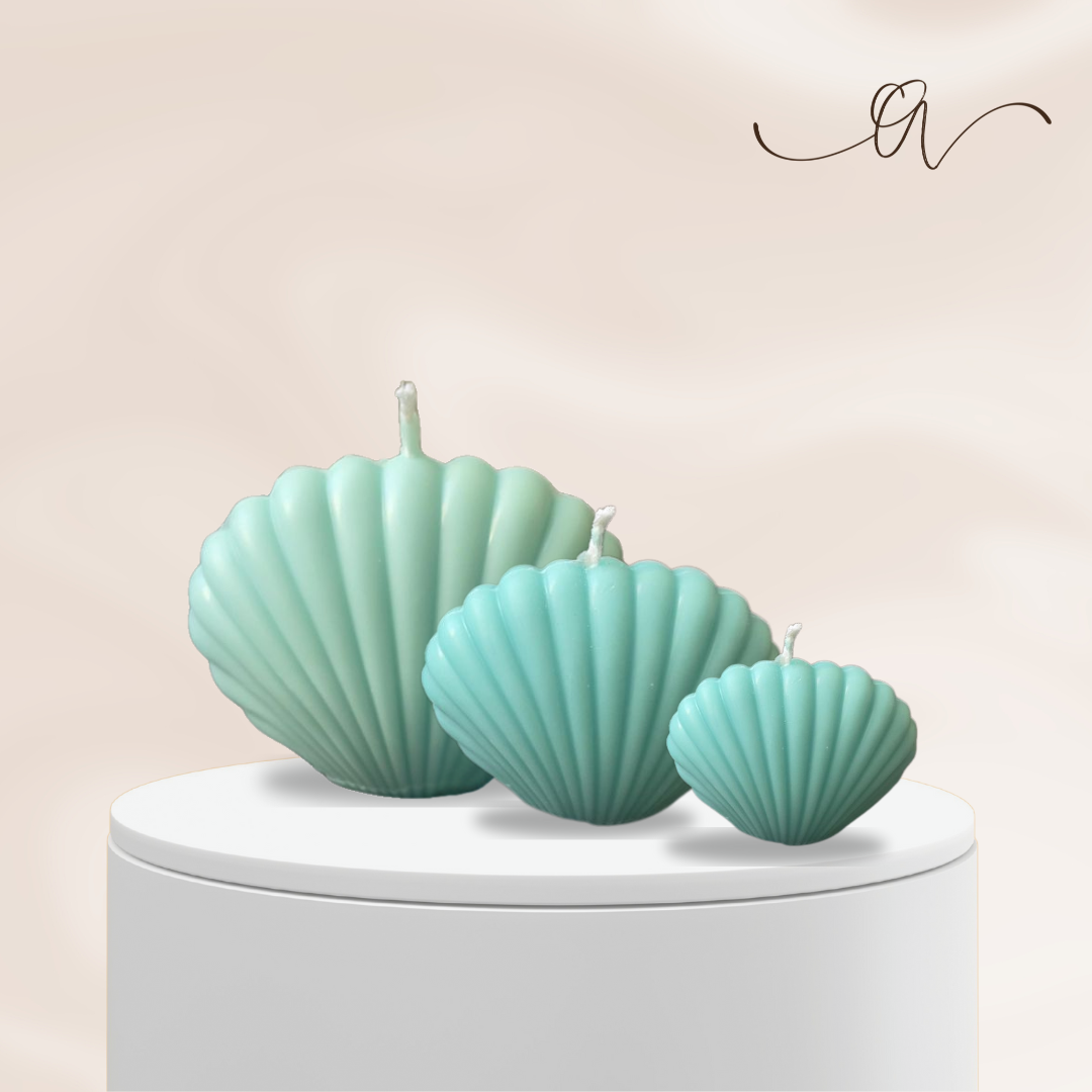 Sea Shell Candle - by the Alchemist