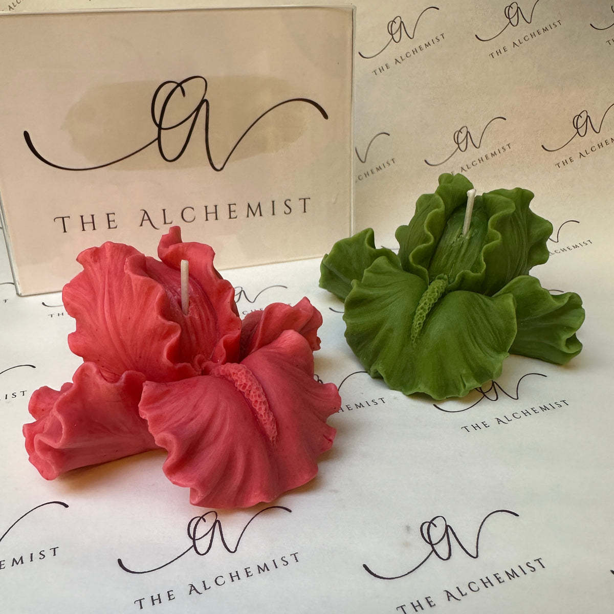 The Iris Whispers - by the Alchemist