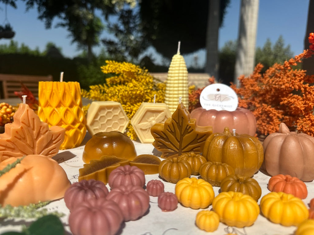 0 Fall Collection