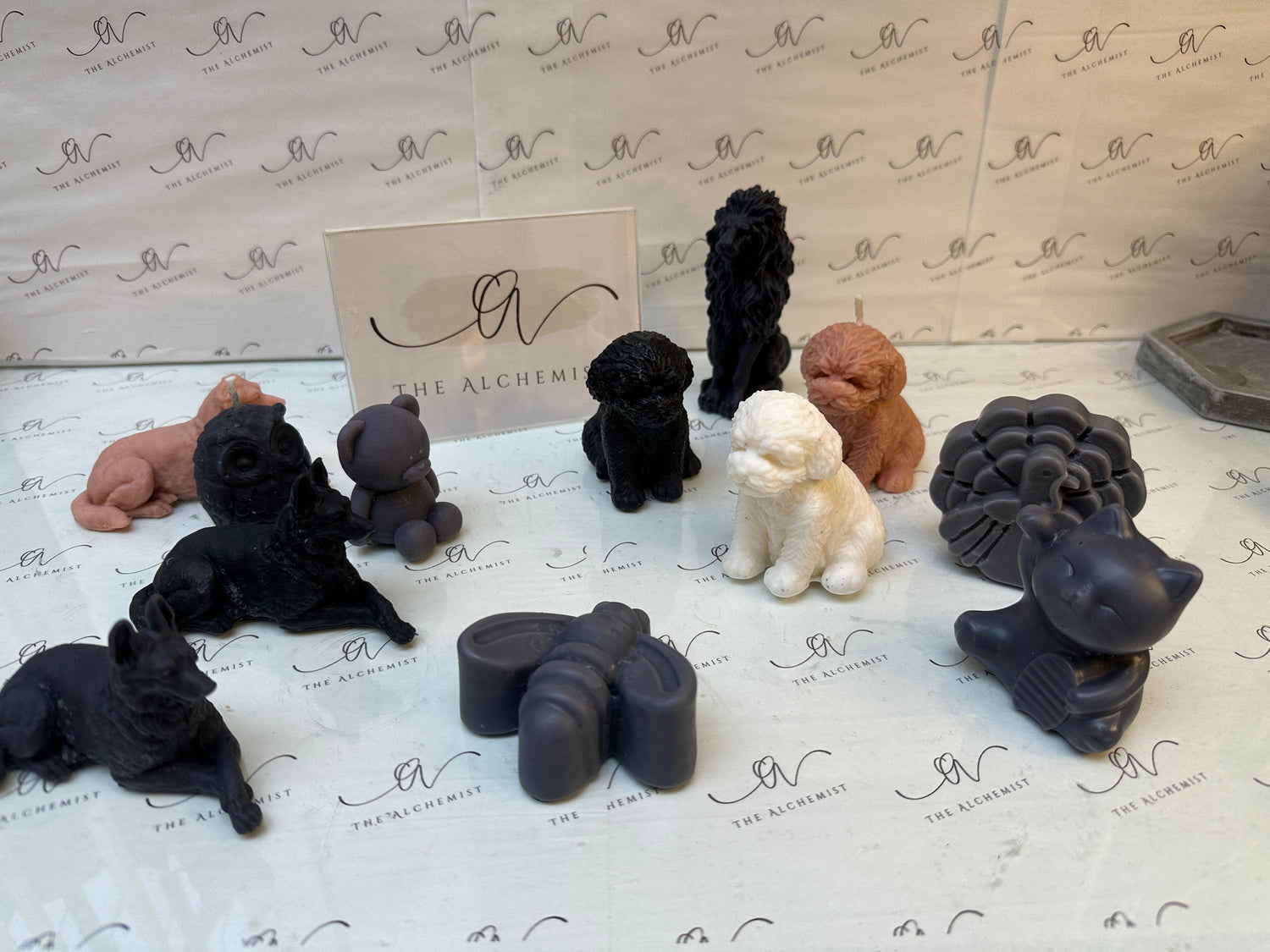6 Animal Collection