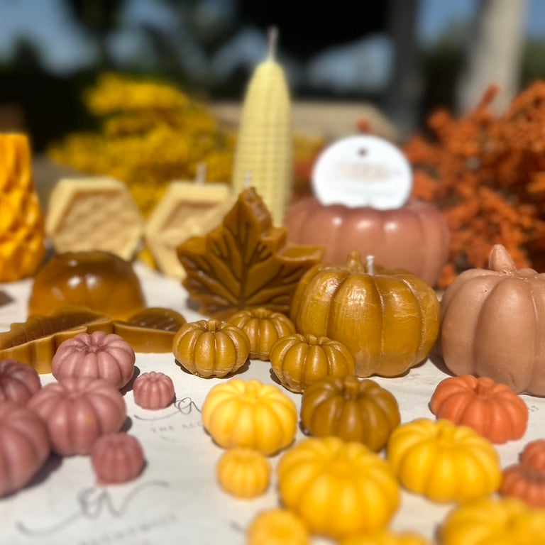 Pumpkin Candle - by the Alchemist