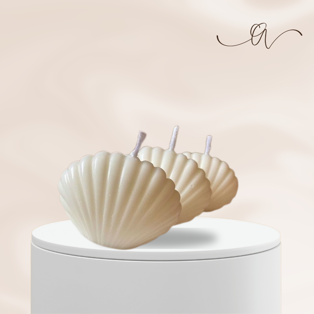 Sea Shell Candle - by the Alchemist