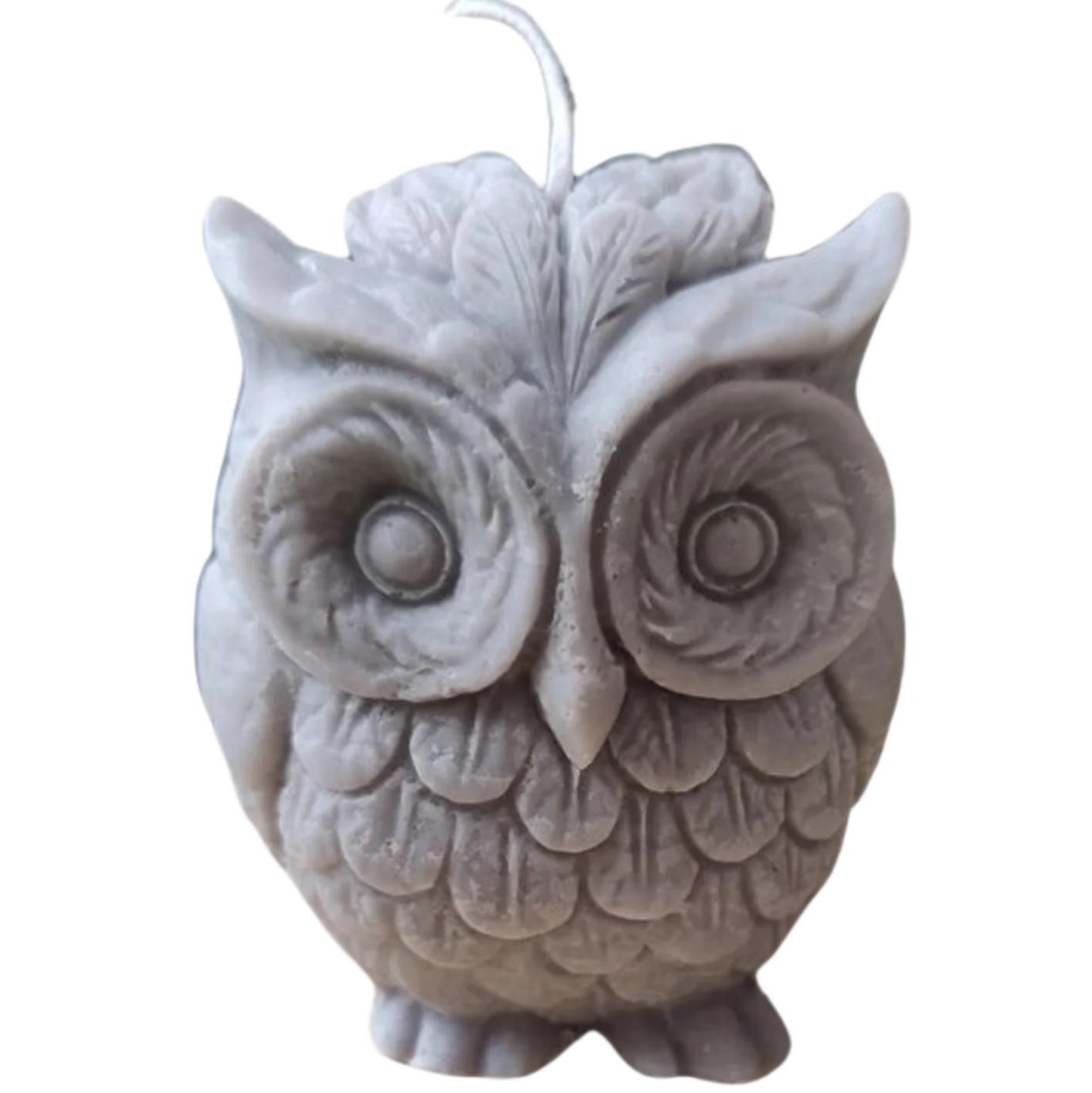 The Wise Owl- by the Alchemist