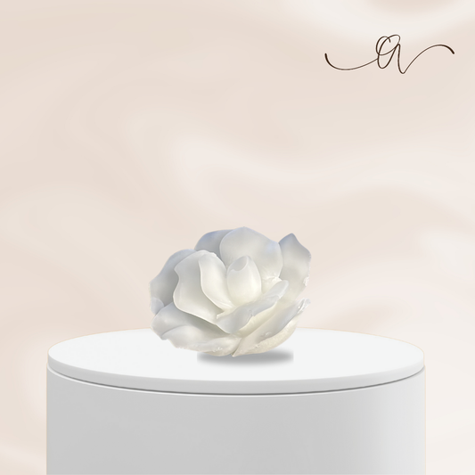 Big rose night - by the Alchemist