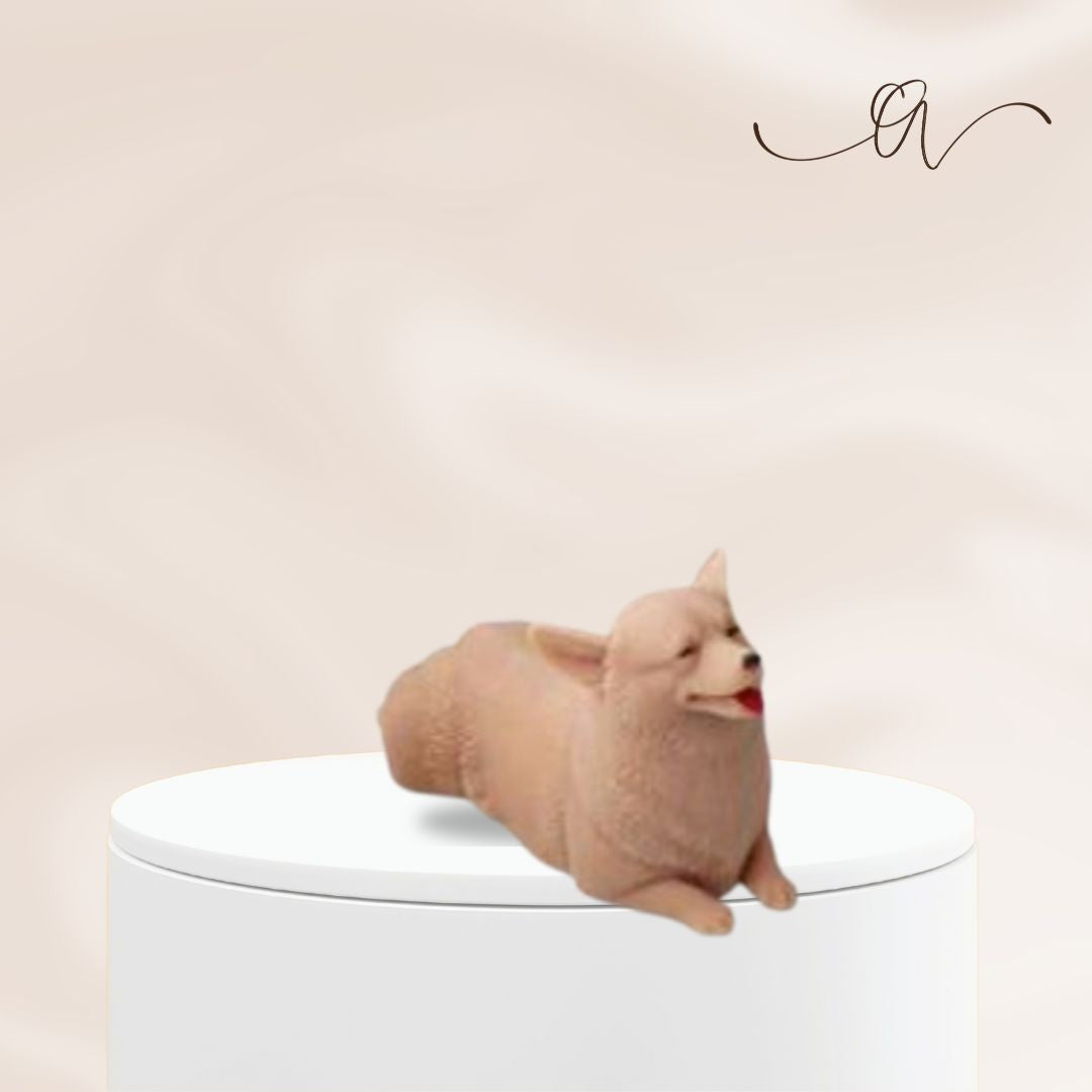 Dachshund- by the Alchemist