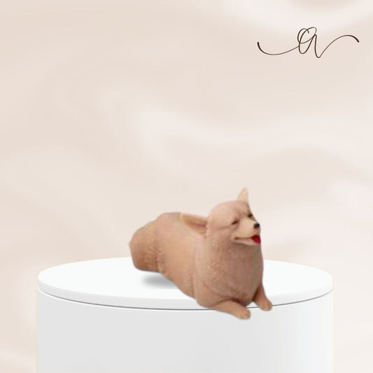 Dachshund- by the Alchemist