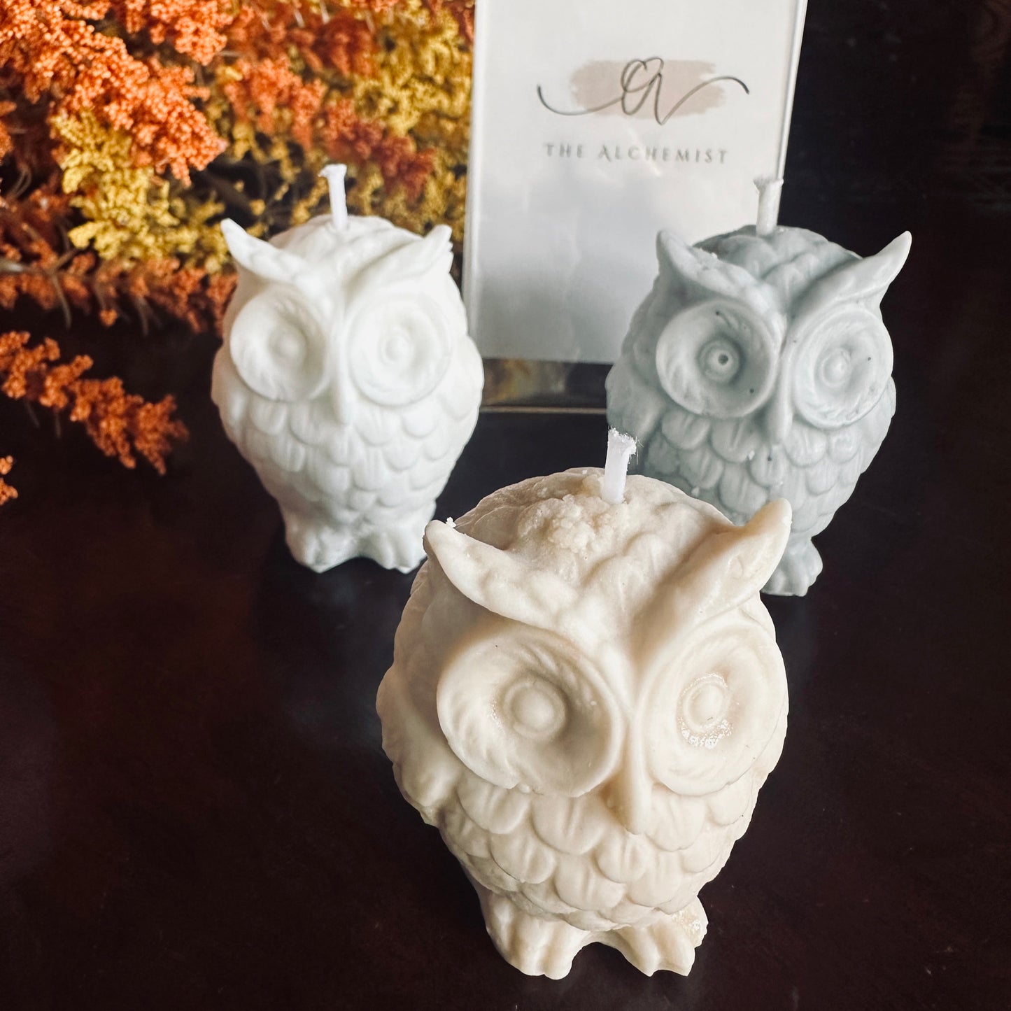The Wise Owl- by the Alchemist
