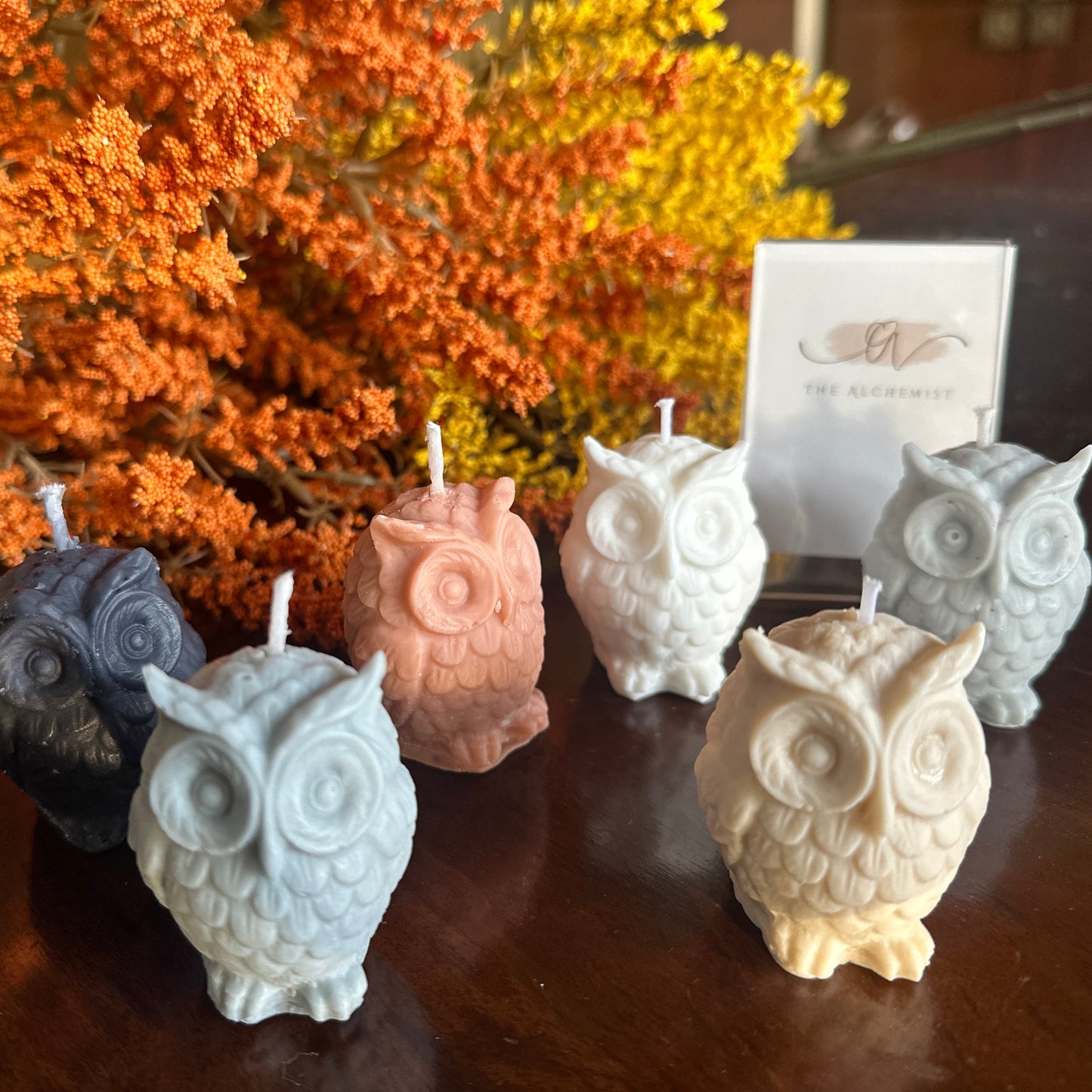 The Wise Owl- by the Alchemist