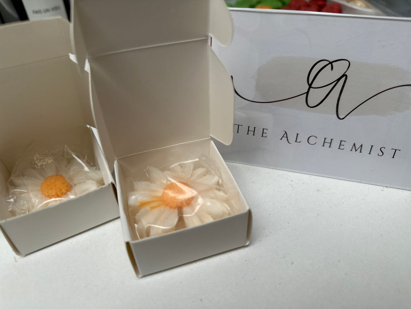 The Daisy Candle - by the Alchemist