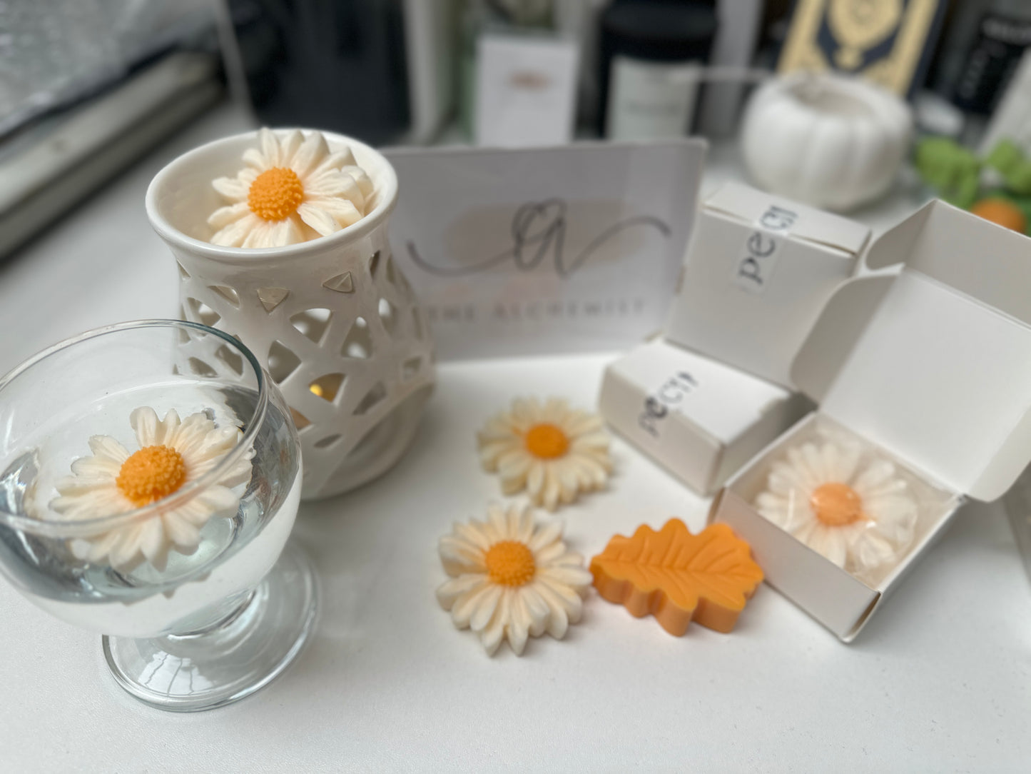 The Daisy Candle - by the Alchemist