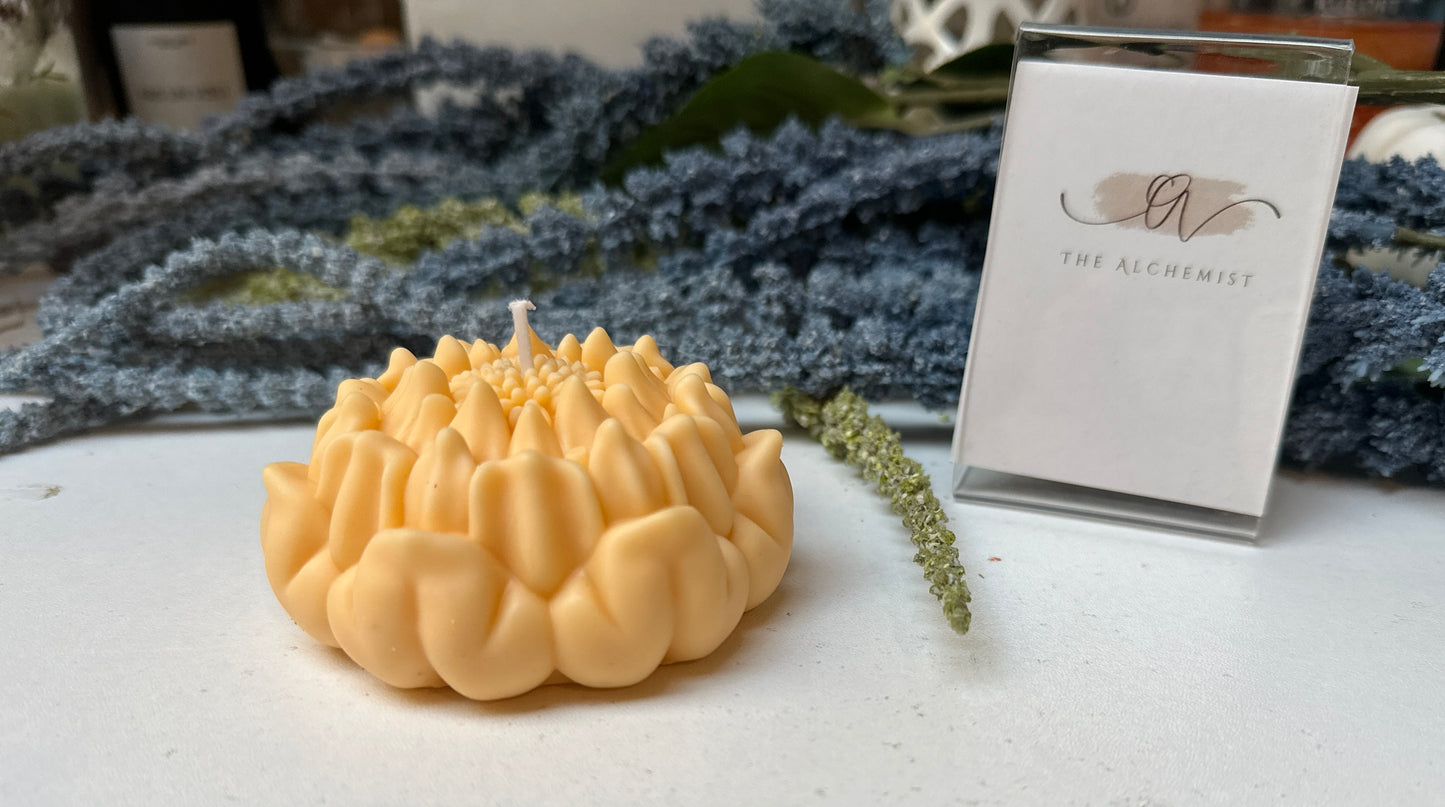 The Radiant Lotus - by the Alchemist