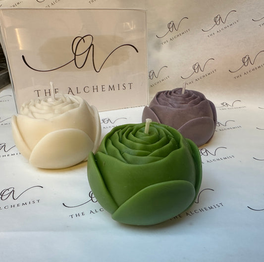 The Petal Reverie  - by the Alchemist
