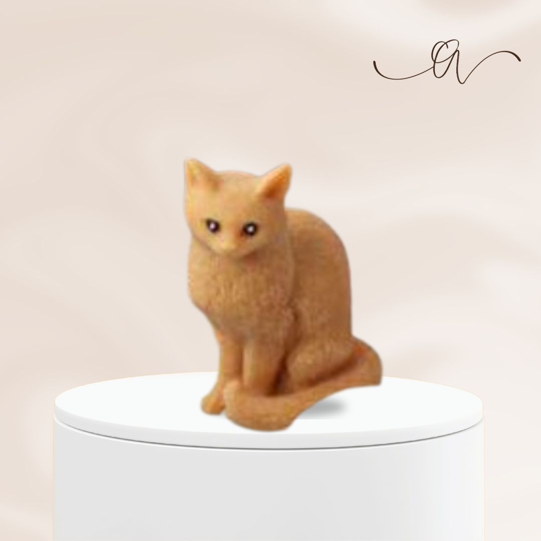 Maine Coon Cat - Sitting upright - by the Alchemist
