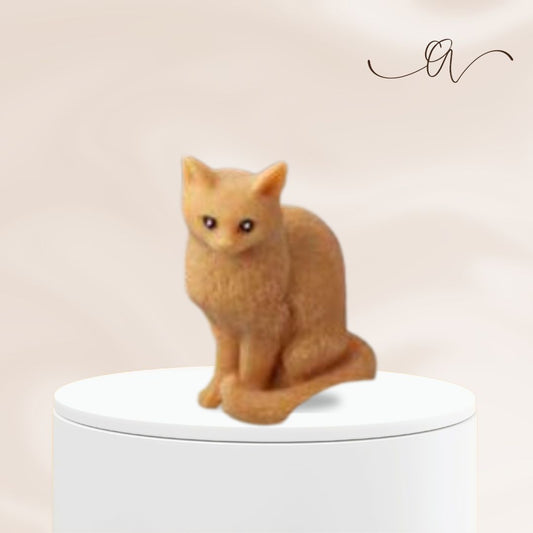Maine Coon Cat - Sitting upright - by the Alchemist