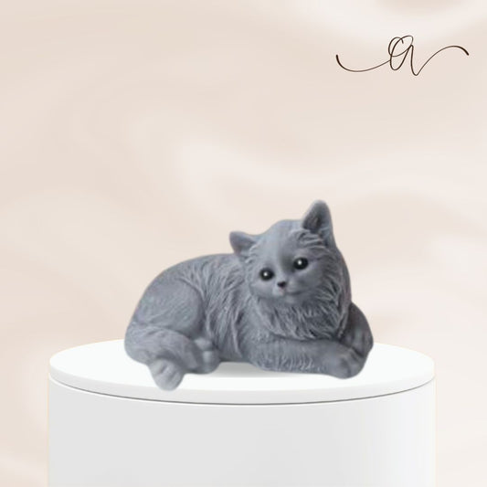 Persian Cat- Big Cat - by the Alchemist