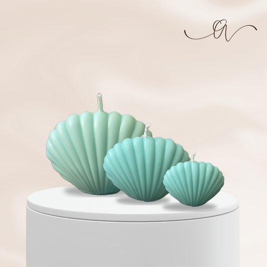 Sea Shell Candle - by the Alchemist