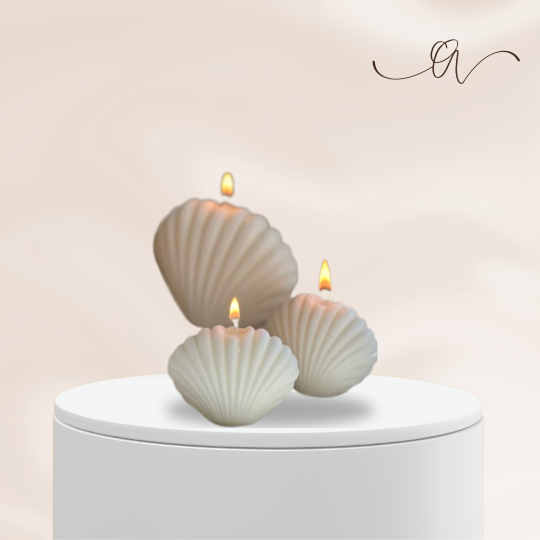 Sea Shell Candle - by the Alchemist