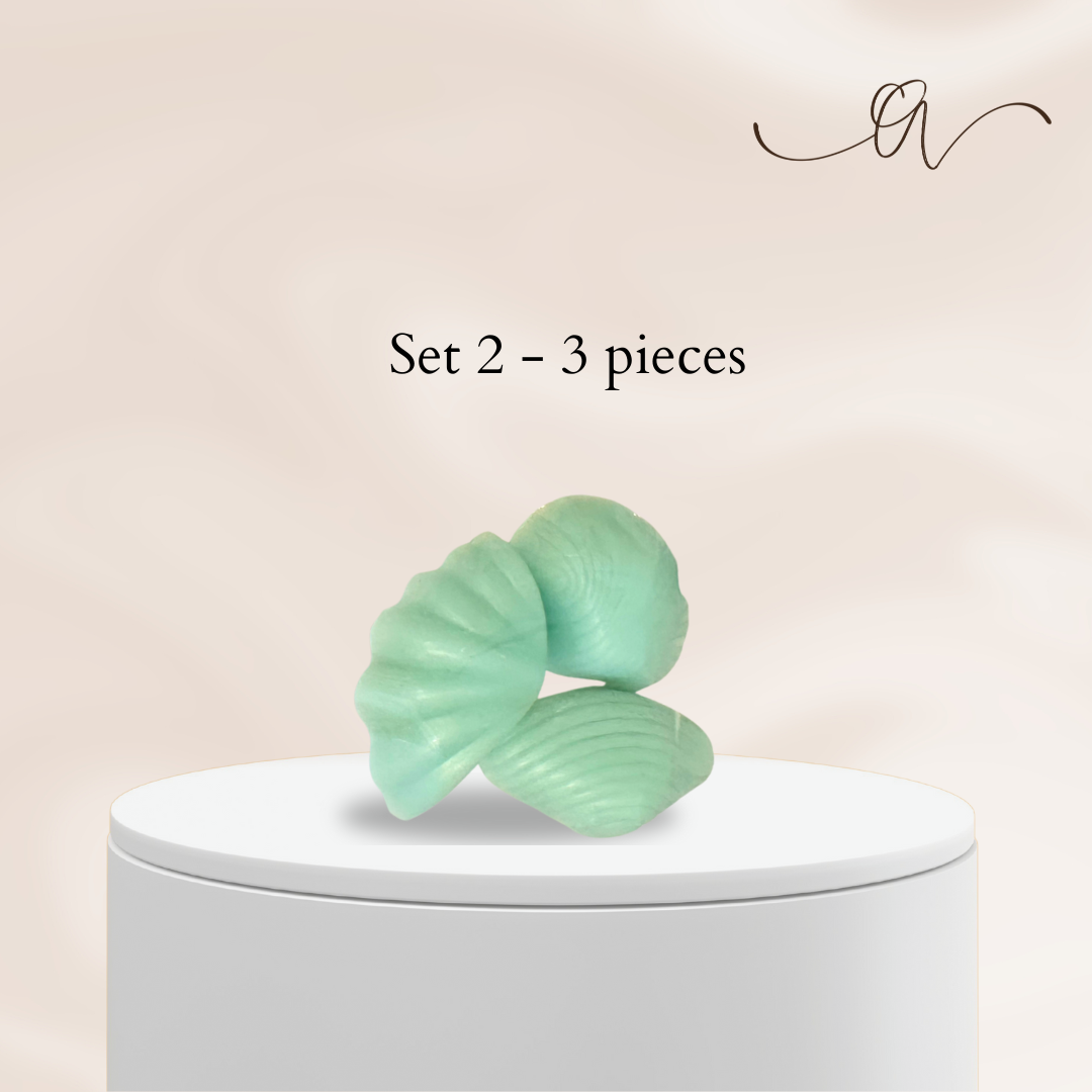 The  Seaside Treasures Diffuser Melts - by the Alchemist