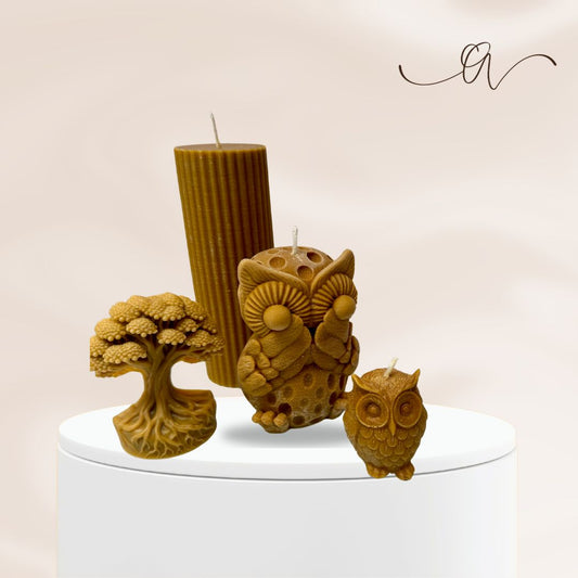 The Circle of Wisdom Set - By The Alchemist