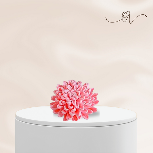 The Chrysanthemum Grace - by the Alchemist