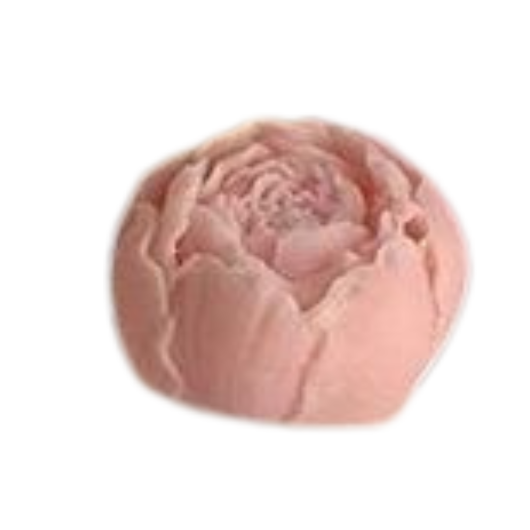 The Camellia Essence Candle - by the Alchemist