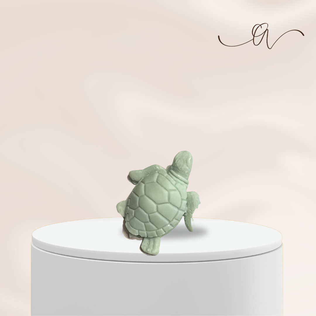 Turtle Drift - by the Alchemist