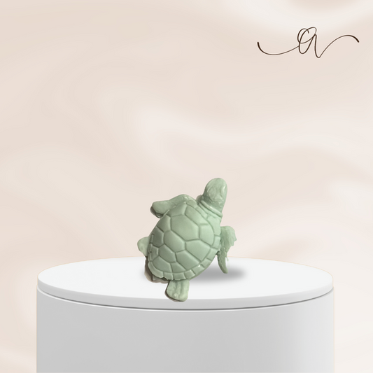 Turtle Drift - by the Alchemist