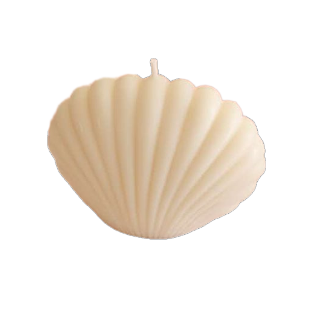 Sea Shell Candle - by the Alchemist