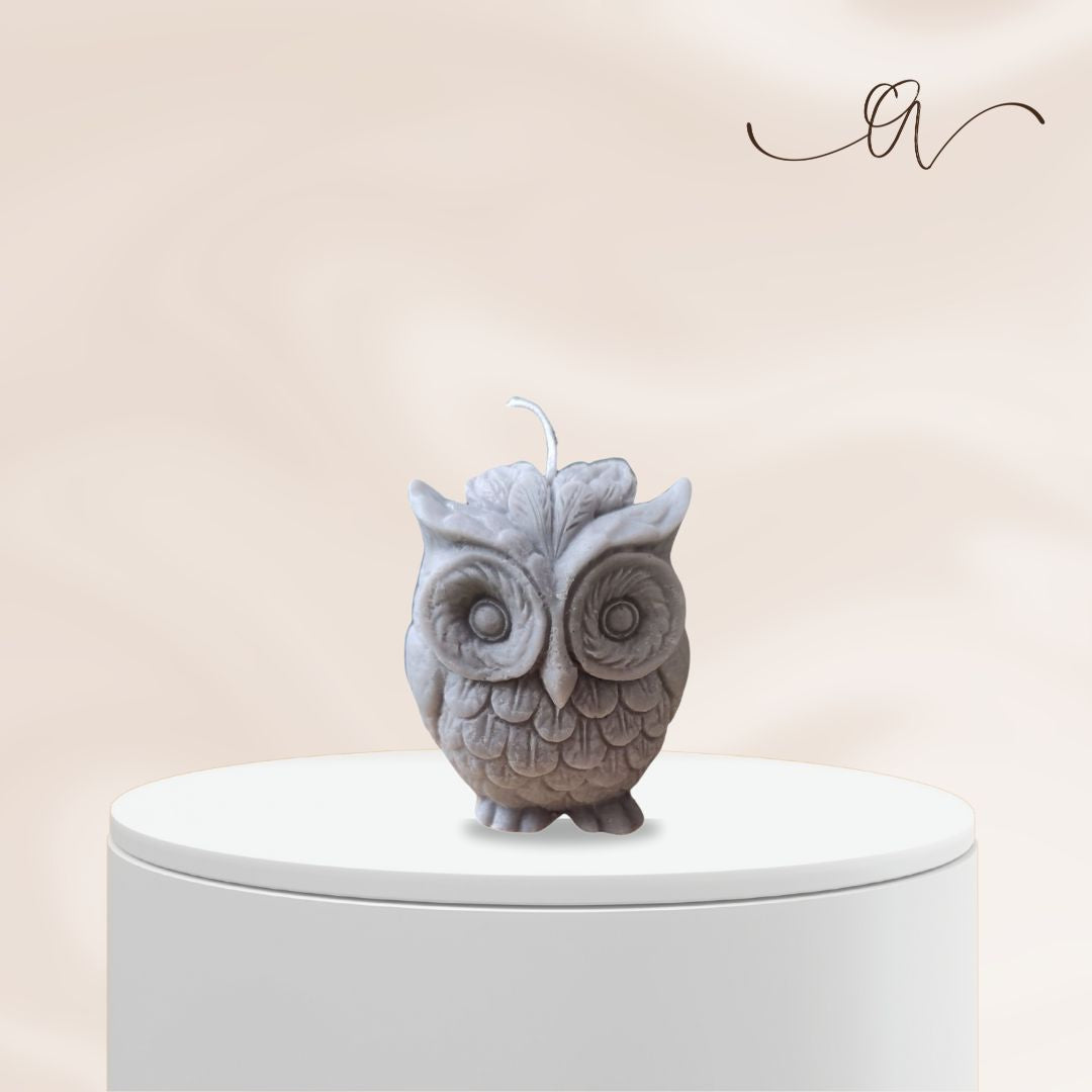 The Wise Owl- by the Alchemist