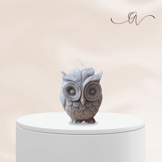 The Wise Owl- by the Alchemist