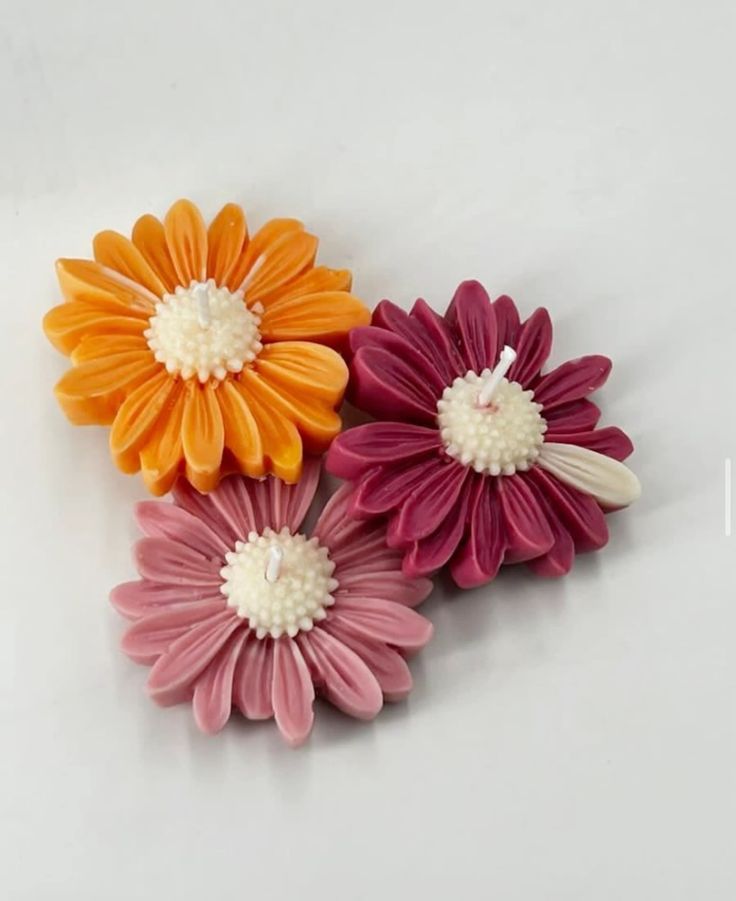The Daisy Candle - by the Alchemist