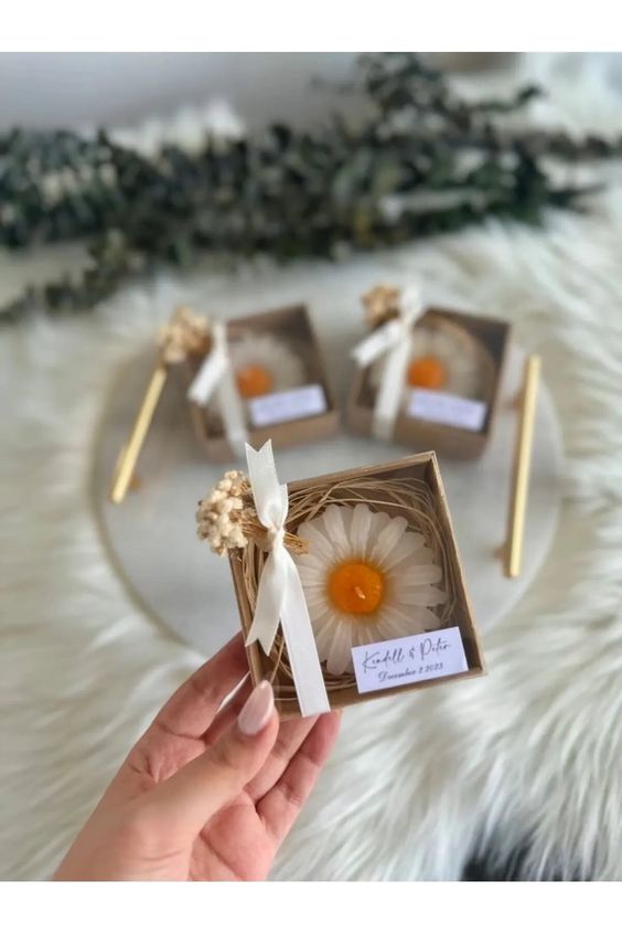 The Daisy Candle - by the Alchemist